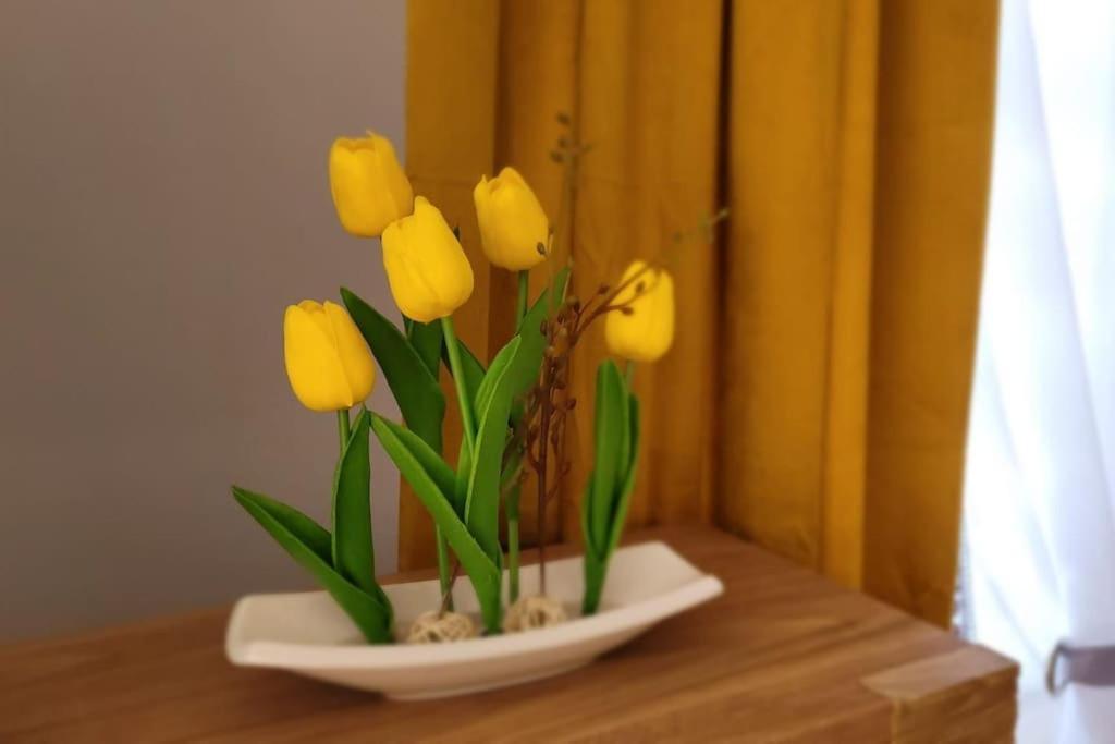 Cozy Modern Apartment Sunrise Studio 35M2 Balcony 3 Persons Cracovia Esterno foto